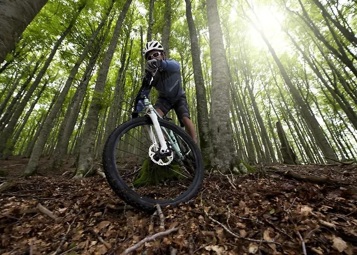 Отель Iris Crillon Фиджи