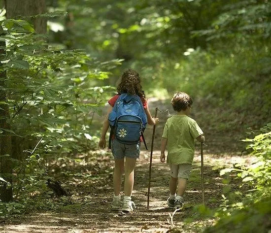 Отель Iris Crillon Фиджи