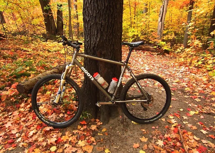 Iris Crillon Фиджи